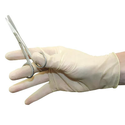 Medical Powdered Latex Gloves Powder Free Latex Examination Glove For Dental