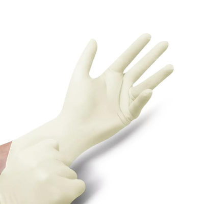 Medical Powdered Latex Gloves Powder Free Latex Examination Glove For Dental