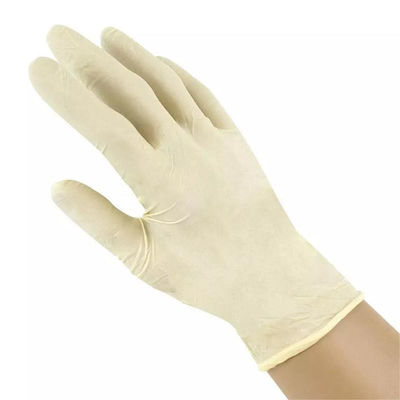 6ml Latex Surgical Gloves Sterile Powdered Safety Hand Latex Examination Glove