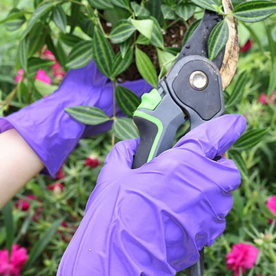 Purple 5 Mil Medical Nitrile Gloves Large Long Rubber Powder Free Waterproof