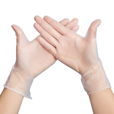PVC Vinyl Disposable Exam Gloves Medium Size Anti Cut Plastic Gloves Disposable