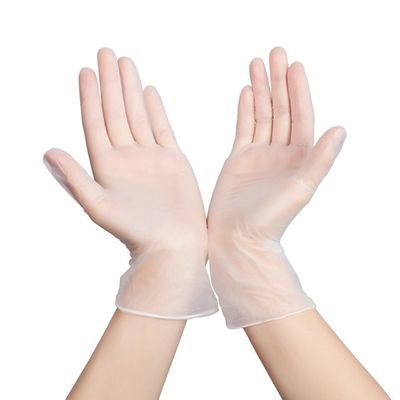 Transparent Disposable Vinyl Gloves Labor Protection Anti Acid PVC Elastic Gloves