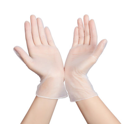 Powder Free PVC Disposable Vinyl Gloves L XL For Medical Examination