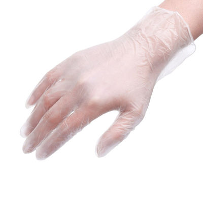 DOP Disposable Vinyl Gloves XL Powder Free Clear Vinyl Gloves