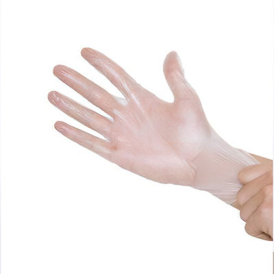 PVC Smooth Touch Disposable Vinyl Gloves Powder free Anti cut OEM &amp; ODM