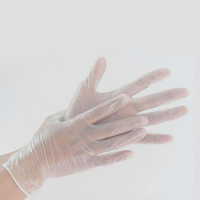 Powder Free PVC Disposable Vinyl Gloves L XL For Medical Examination
