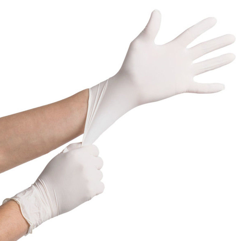 OEM ODM Powder Free Latex Gloves