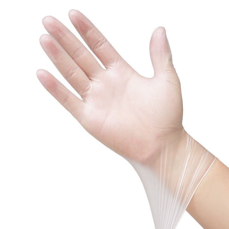 DOP DEHP Free Clear Disposable Gloves Vinyl Powder Free M L S XL