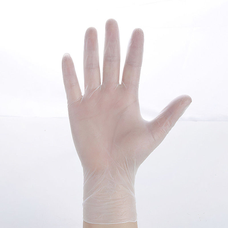 PVC Smooth Touch Disposable Vinyl Gloves Powder free Anti cut OEM &amp; ODM